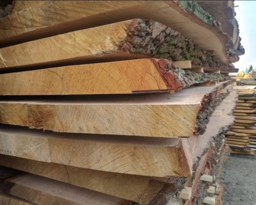 Truhlářské řezivo jasan 55/4100